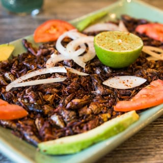 Botana de Chapulines